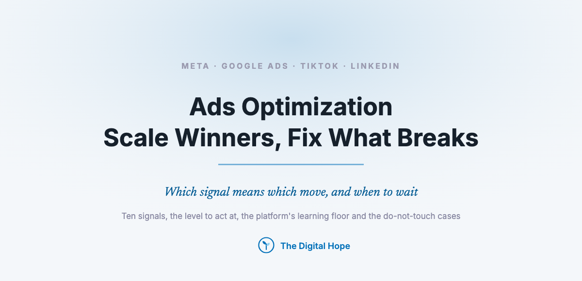 Ads Optimization: How to Scale Winners and Fix What Breaks