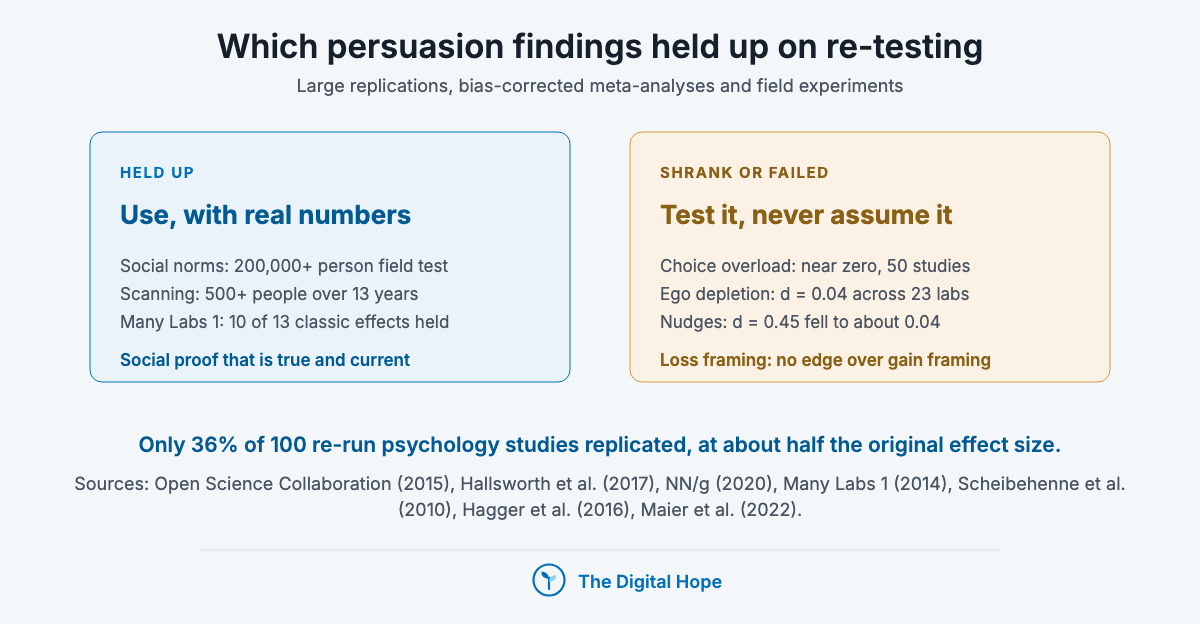 Two-panel copywriting chart: persuasion findings that held up (descriptive social norms, scanning, 10 of 13 Many Labs effects) against those that shrank (choice overload, ego depletion, nudges, loss framing).