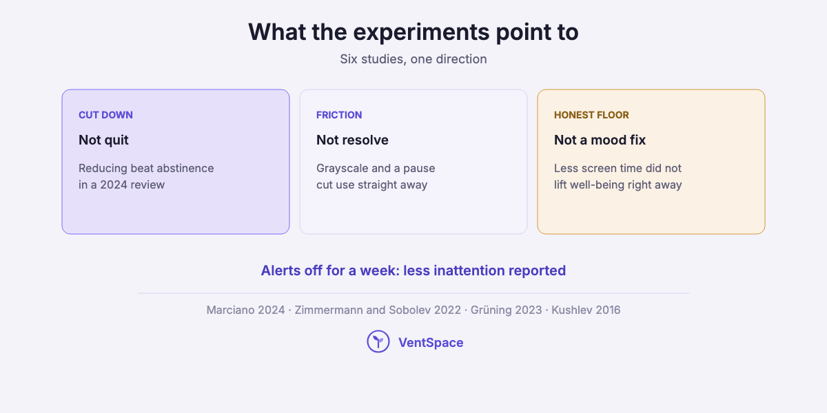 Three cards: cutting down did better than quitting in a 2024 review, friction like grayscale and a pause before apps open reduced use straight away, and less screen time did not lift well-being right away.