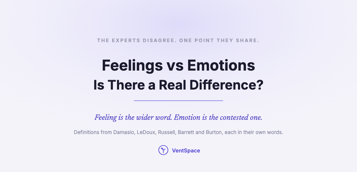 Feelings vs Emotions: Is There a Real Difference?