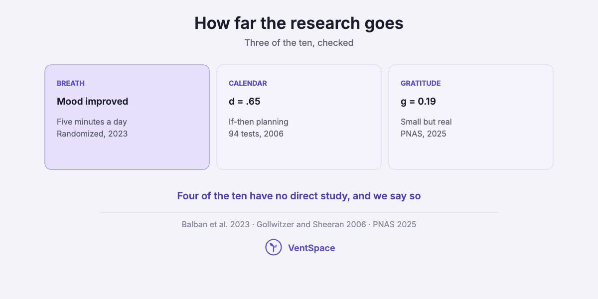 Three cards showing research behind Jay Shetty lessons: breathwork improved mood in a 2023 randomized study, if-then planning d of .65, gratitude a small effect of 0.19.