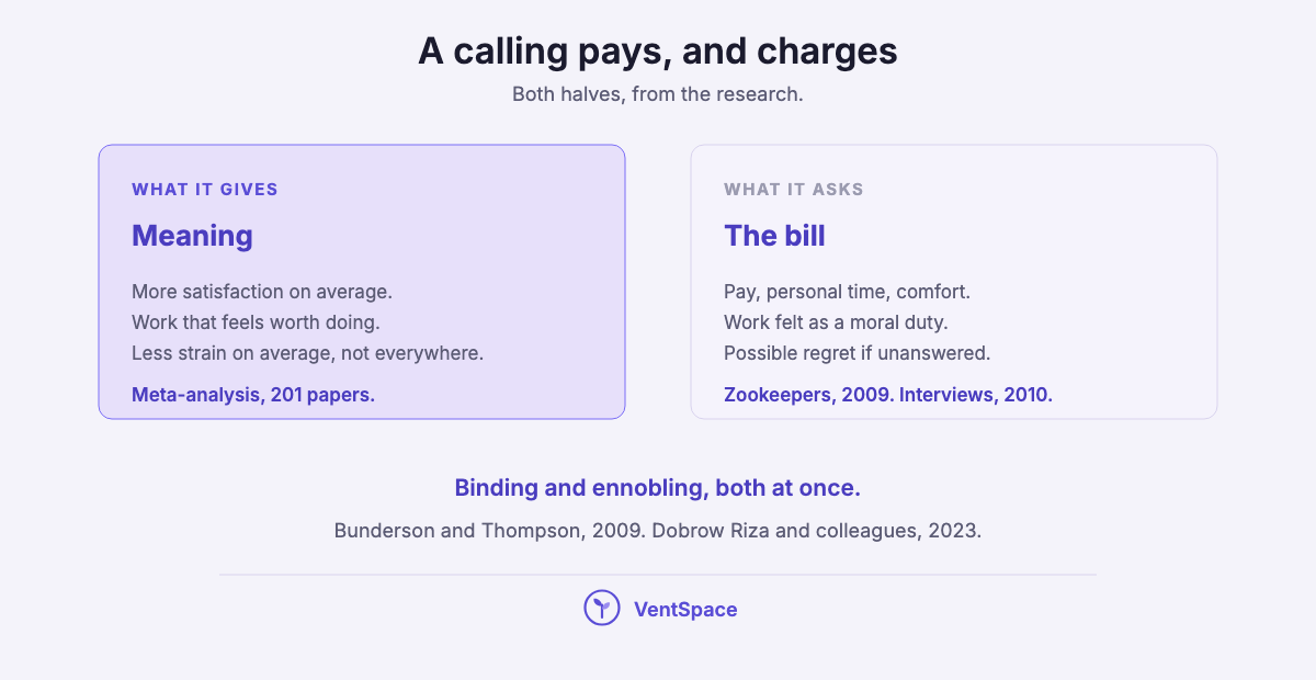 Two panels: what a calling gives, meaning and more satisfaction on average, and what it asks, pay, personal time, comfort and regret if it goes unanswered.