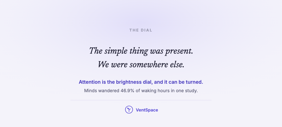 A quiet card reading the simple thing was present, we were somewhere else, attention is the brightness dial.