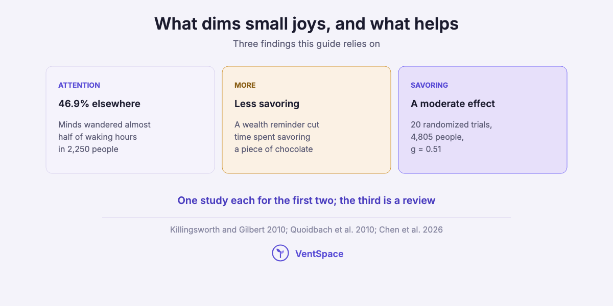 Three cards: minds wandered almost half of waking hours, a wealth reminder reduced time spent savoring chocolate, and savoring trials showed a moderate effect.
