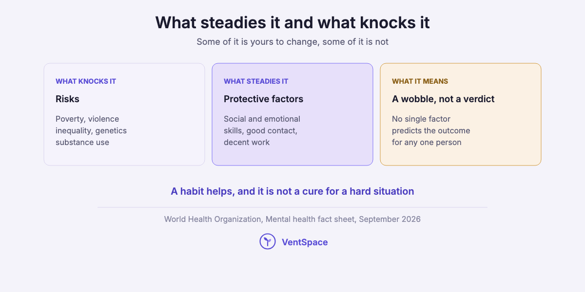 Three cards: risks to mental health such as poverty, violence and inequality, protective factors such as social skills, positive contact and decent work, and a note that no single factor predicts the outcome.