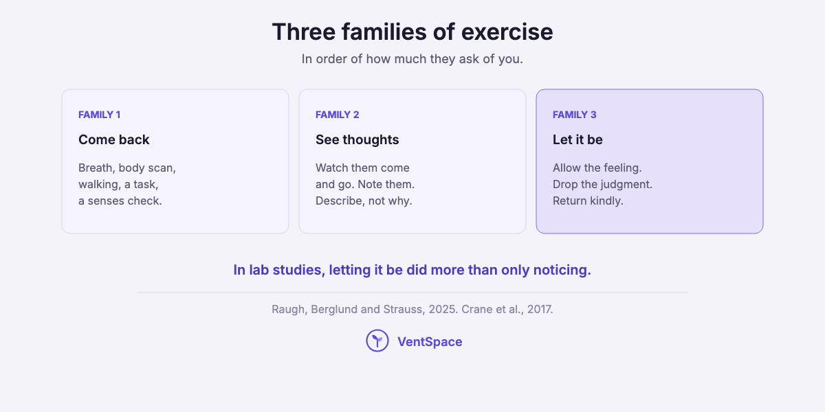 Three cards naming the families of mindfulness exercises: coming back to the present, seeing thoughts as thoughts, and letting a feeling be there.