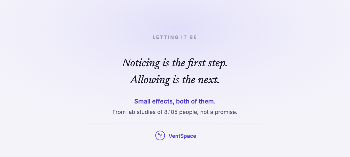 A card reading noticing is the first step, allowing is the next, with the note that both effects were small in lab studies.