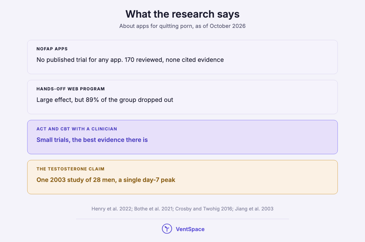 Four stacked blocks summarizing the research: no NoFap app has a published trial, one web program showed promise with heavy dropout, and therapy has the best evidence.