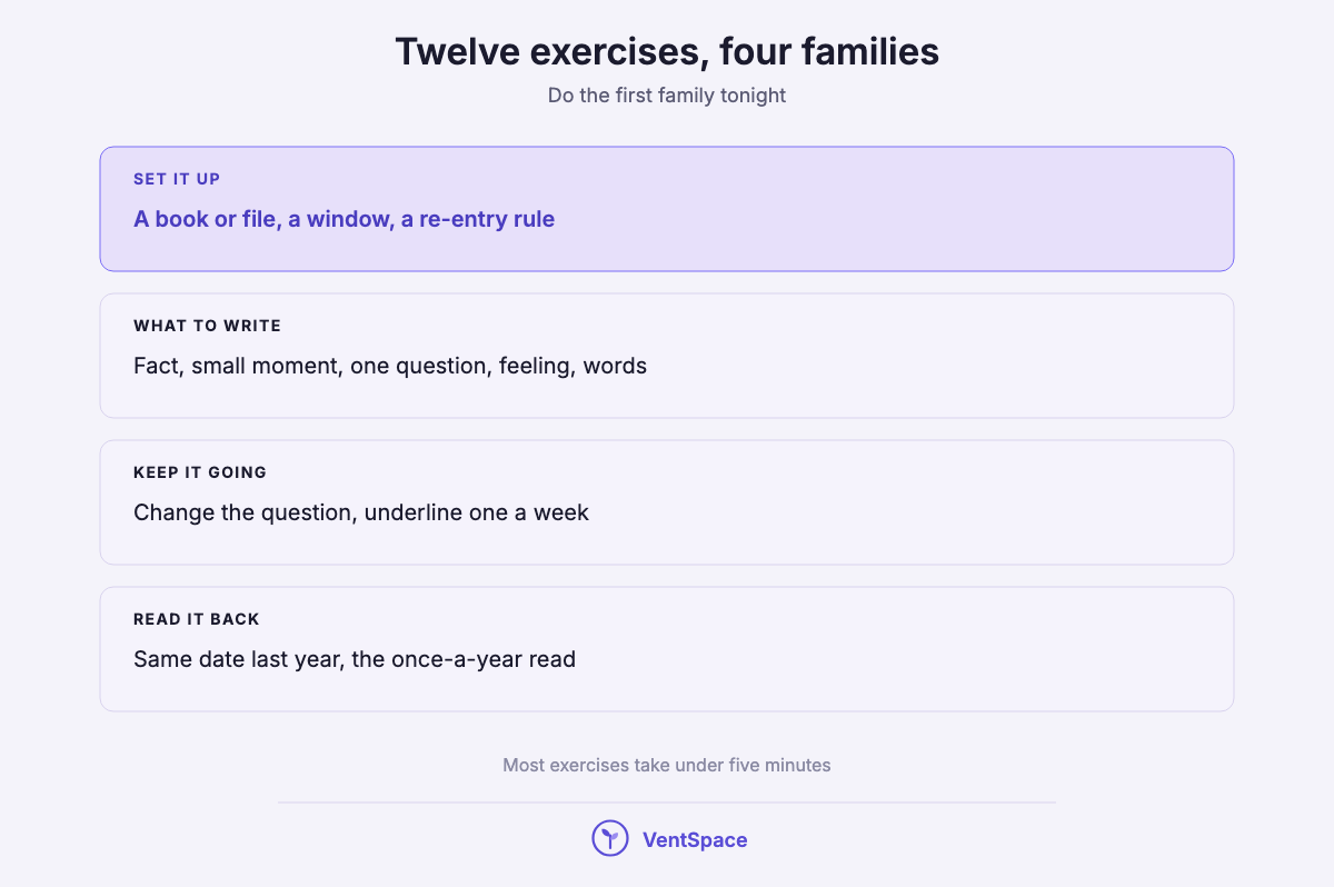 A stacked list of four families of one line a day journal exercises: set it up, what to write, keep it going, and read it back.