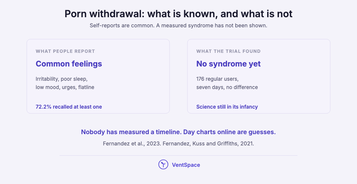Two panels: on the left the feelings people report after stopping porn, on the right that a seven-day trial found no withdrawal syndrome.