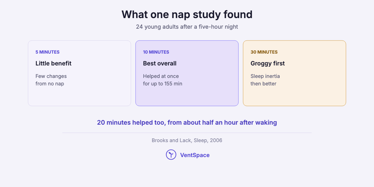 Three cards from a 2006 nap study: a 5-minute nap gave little benefit, a 10-minute nap helped right away for up to 155 minutes, and a 30-minute nap left people groggy before they improved.