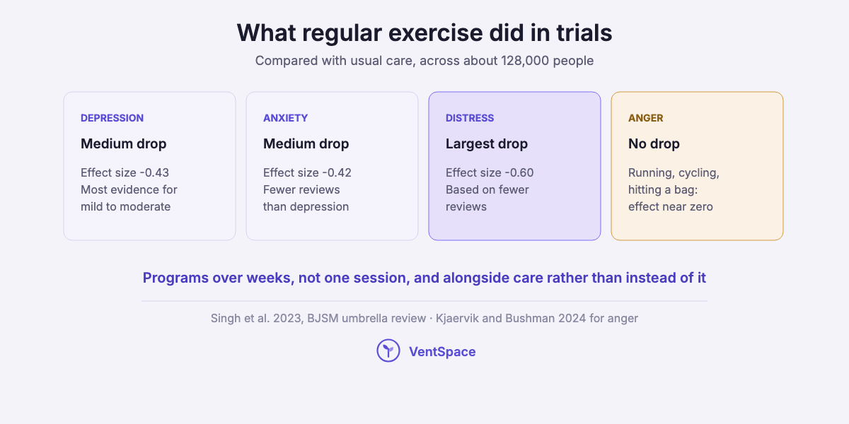 Four cards summarizing exercise trials: medium reductions in depression and anxiety, the largest reduction in psychological distress, and no reduction in anger from running, cycling or hitting a bag.