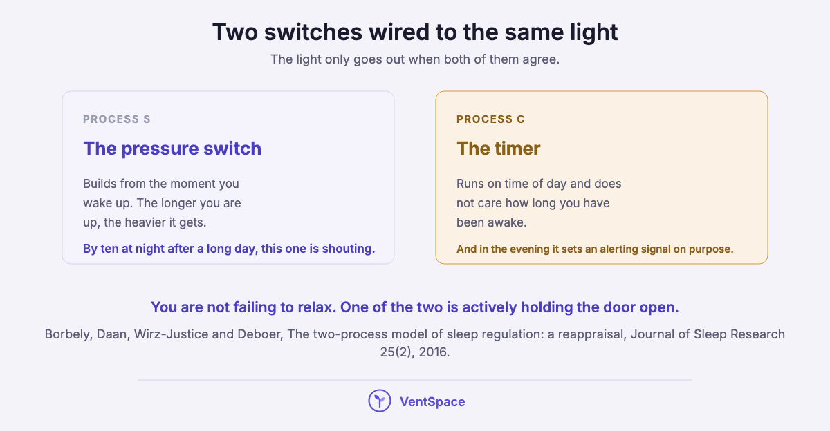 Two panels describing the two-process model: Process S, a pressure that builds the longer you are awake, and Process C, a body clock that runs on time of day and sets an evening alerting signal.