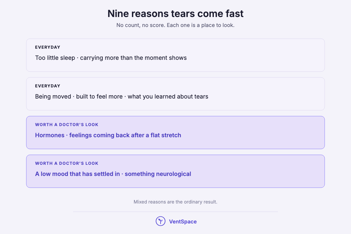 Four stacked blocks grouping the nine reasons for crying easily: everyday reasons like sleep and being moved, and reasons worth a doctor's look like hormones and a low mood.