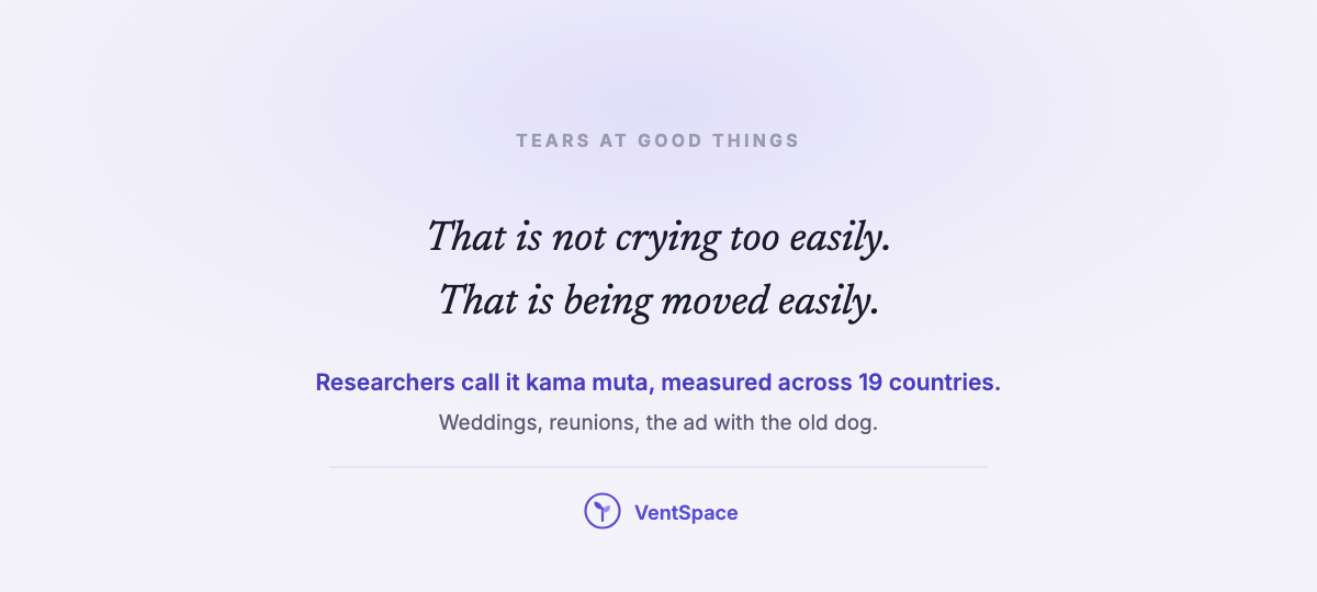 A card reading that is not crying too easily, that is being moved easily, about tears at weddings, reunions and ads.